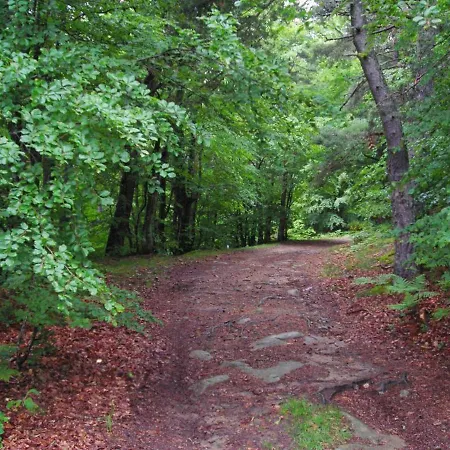 Renove Avec Cheminee Et Jardin A 15 Km Des Pistes De - Fr-1-496-9 Saint-Bonnet-le-Courreau